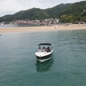 04f50147-74a9-447f-9073-a27f5b63979f