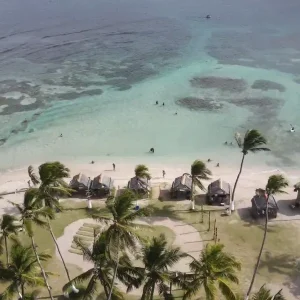 23cb2203-d064-4b77-a198-fca85ead7f58