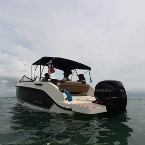 3d0c0c5e-312d-4049-b536-0a33762258b0