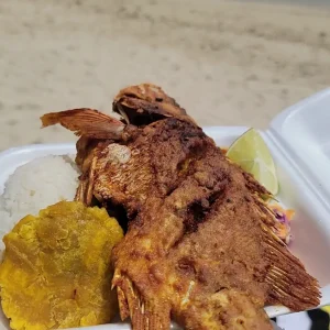 a4d83c15-790c-42dd-afcd-1b7ad94b899b