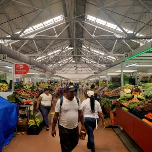 cf38a5a0-7548-4d72-ab6f-4f16580d5401