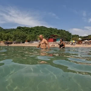 d2dac537-3392-42e0-ad41-1ab2dc3e7b12