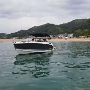 f9aabcf9-7b16-4481-9a05-22d4633cc409